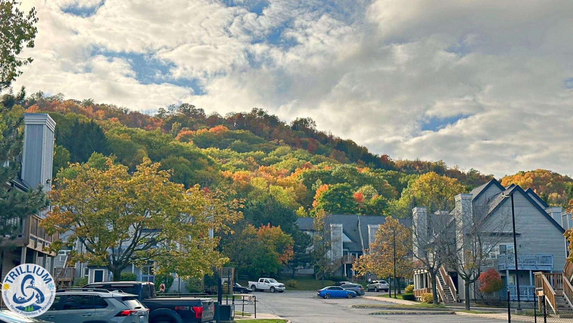 Blue Mountain At Your Door Step Blue Mountains Exterior foto
